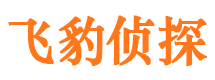 雷波市婚外情调查